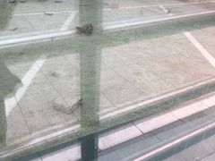 -西安大唐西市博物馆