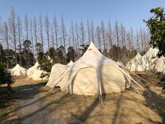 -前小桔亲子创意农场·草莓采摘·露营烧烤