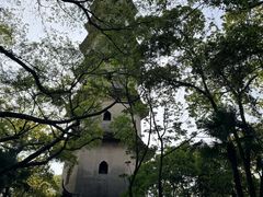 -江心屿景区