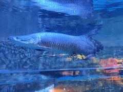 -成都浩海立方海洋公园