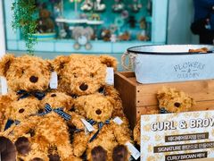 -济州岛泰迪熊博物馆