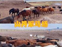 -山丹皇家马场