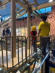 -卡通尼·Safari非洲探索乐园·生日会(金桥国际商业广场店)