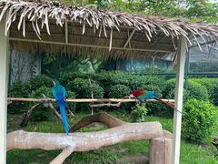 -齐齐哈尔龙沙动植物园
