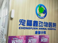 -宠福鑫康馨动物医院·骨科·眼科