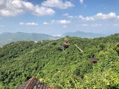 -三亚亚龙湾人间天堂鸟巢度假村