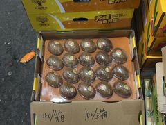 -西郊国际农产品交易中心