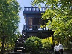 -天津东丽湖风景区