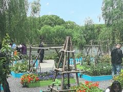 -上海鲜花港