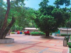 -石排湾郊野公园