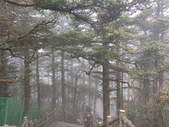 -峨眉山风景名胜区