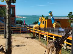 -西霞口神雕山野生动物世界