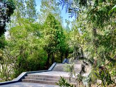 -禅宗少林·音乐大典