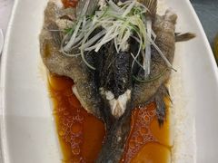 -成事园(真北店)