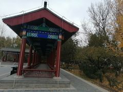 -莲花池公园
