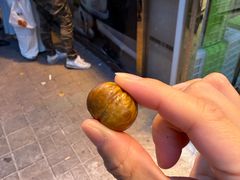 -中栗华栗子(鞍山道店)