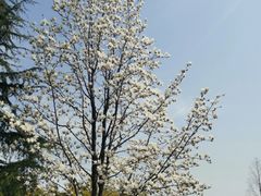 -白塘生态植物园