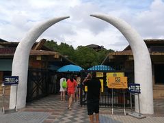 -热带风暴水上乐园(新镇路)