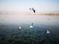 -西昌邛海宾馆