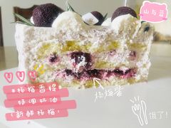 -山与蓝·轻糖鲜果蛋糕(勒泰店)