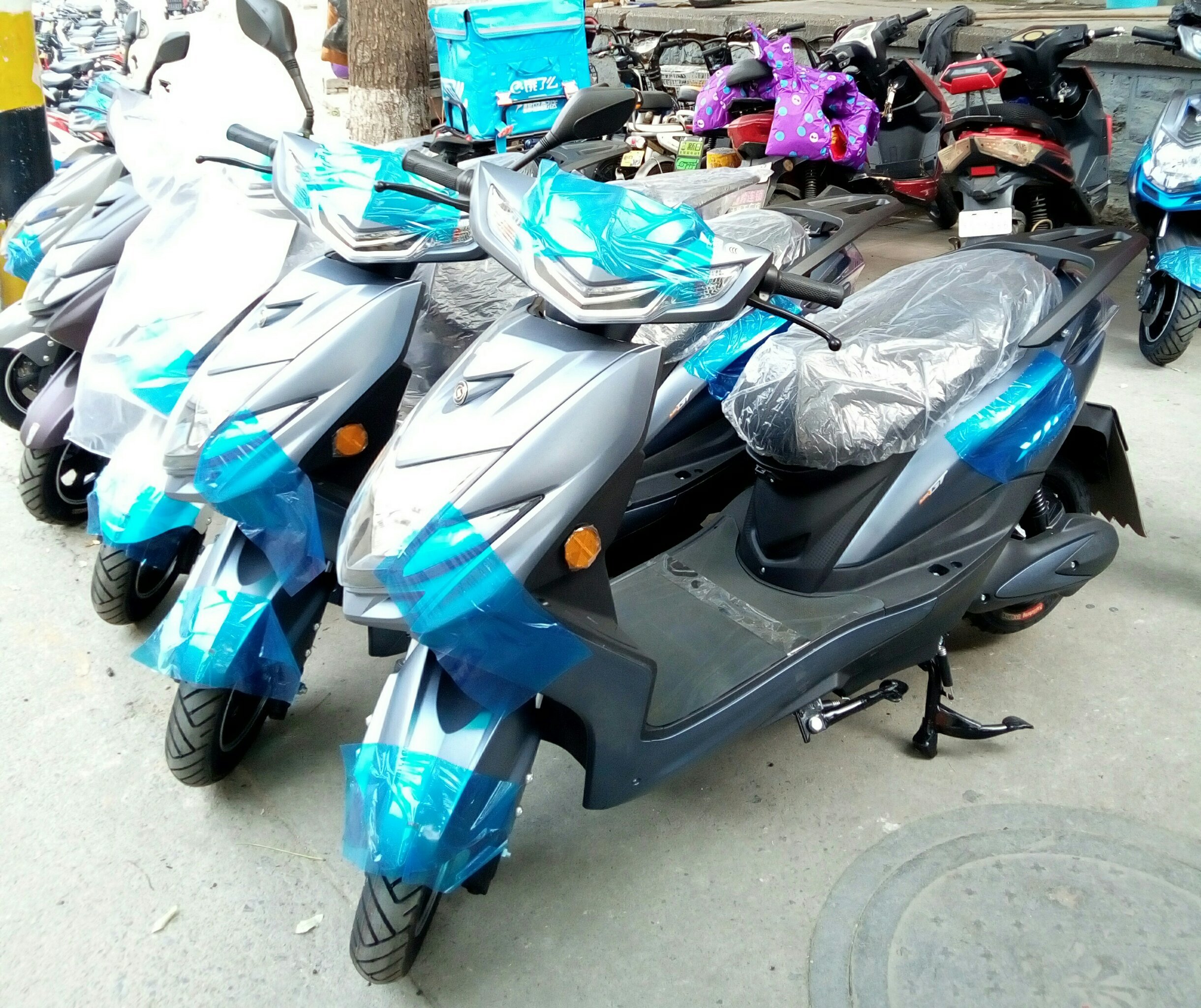 捷羚电动车,中国电动车知名名牌.济南专