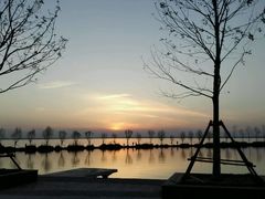 android_upload_pic-卧龙湖