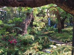 -Chom Cafe and Restaurant