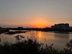 -立新湖公园