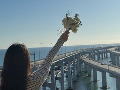 -星海湾跨海大桥