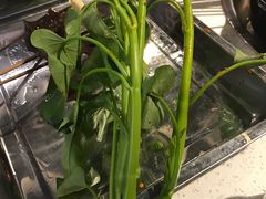 -钢管厂五区小郡肝串串香(通锦桥店)