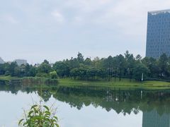 -美兰湖景区