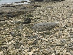 -阿波岛