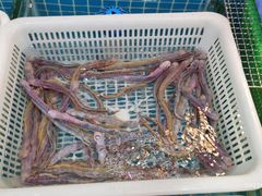 -都斛海鲜街