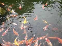 -青岛鑫江温德姆酒店