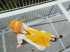 -呀诺达热带雨林