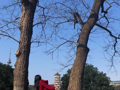 景点-湖南烈士公园(芙蓉区)
