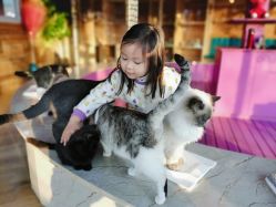 -萌宠亲子动物乐园(槐房万达店)