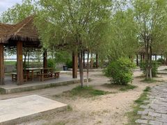 -呼兰河口湿地公园
