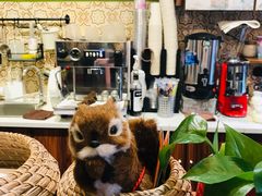-狐狸家·酸奶酪专门店(平江路店)