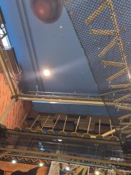 -卡通尼·Safari非洲探索乐园·生日会(金桥国际商业广场店)