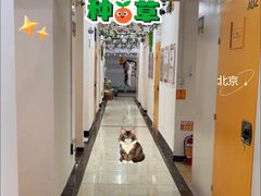 -猫库迷你自助仓储寄存仓库(丽泽桥店)
