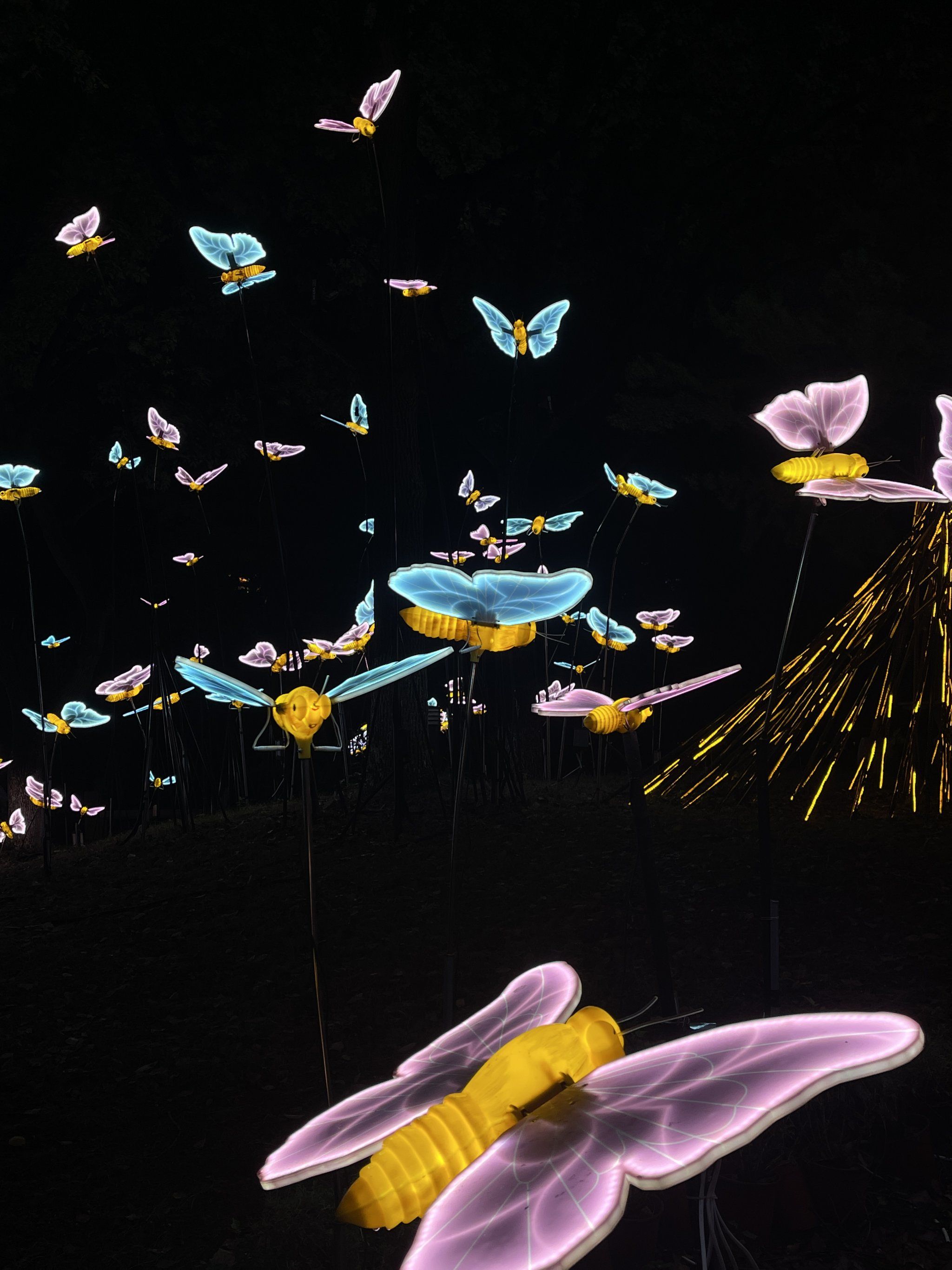 夏日好去处沉浸式夜游盘门景区