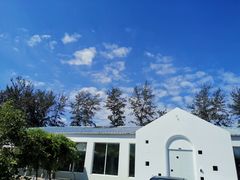 -普兰达德国餐厅·德式脆皮烤猪肘·自酿啤酒(观唐店)
