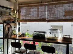 -吉丁鸟咖·异宠·寄养