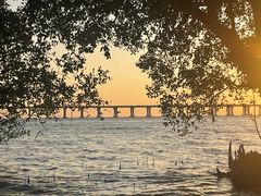 -宝安西湾红树林湿地公园