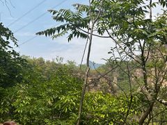 -大平台龙居瀑布旅游区