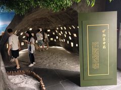 -广东中医药博物馆