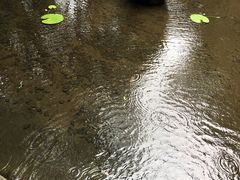-王家渡火锅(三苏祠店)