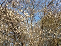 -玄武湖景区-情侣园游乐场