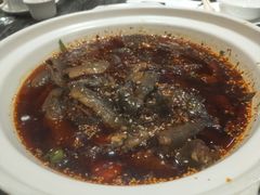 情妹耙泥鳅-情妹耙泥鳅·江湖川菜(科华店)